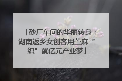 砂厂车间的华丽转身：湖南返乡女创客用苎麻“织”就亿元产业梦