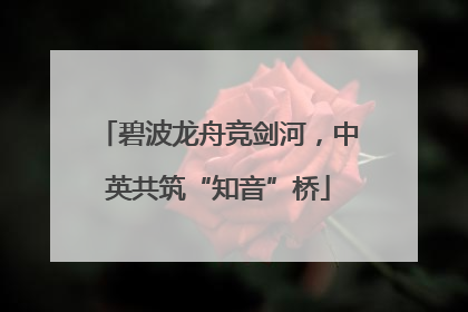 碧波龙舟竞剑河，中英共筑“知音”桥