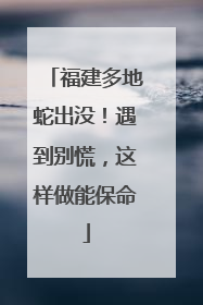 福建多地蛇出没！遇到别慌，这样做能保命
