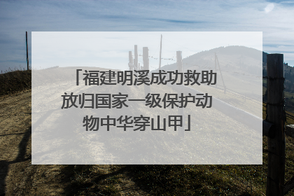 福建明溪成功救助放归国家一级保护动物中华穿山甲