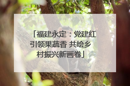 福建永定：党建红引领果蔬香 共绘乡村振兴新画卷