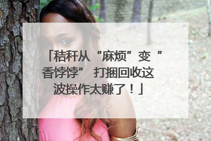 秸秆从“麻烦”变“香饽饽” 打捆回收这波操作太赚了！