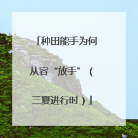 种田能手为何从容“放手”（三夏进行时）