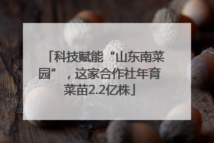 科技赋能“山东南菜园”，这家合作社年育菜苗2.2亿株