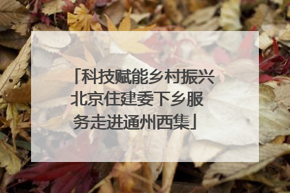 科技赋能乡村振兴 北京住建委下乡服务走进通州西集