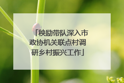 秧励带队深入市政协机关联点村调研乡村振兴工作