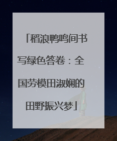 稻浪鸭鸣间书写绿色答卷：全国劳模田淑娴的田野振兴梦