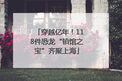 穿越亿年！118件恐龙“镇馆之宝”齐聚上海