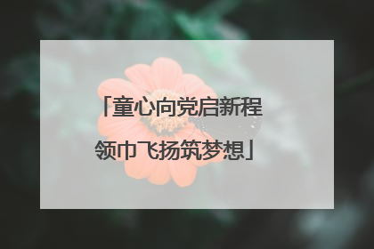 童心向党启新程 领巾飞扬筑梦想