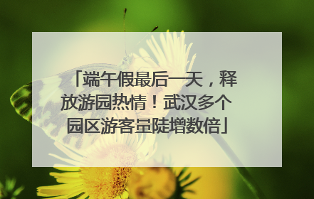 端午假最后一天，释放游园热情！武汉多个园区游客量陡增数倍