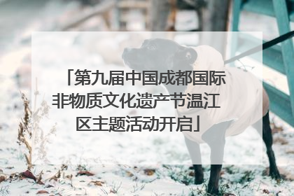 第九届中国成都国际非物质文化遗产节温江区主题活动开启