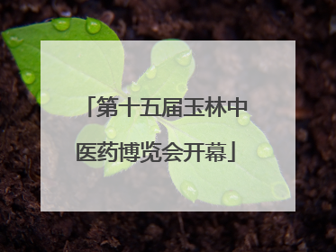 第十五届玉林中医药博览会开幕