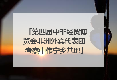 第四届中非经贸博览会非洲外宾代表团考察中伟宁乡基地