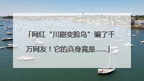 网红“川剧变脸鸟”骗了千万网友！它的真身竟是……