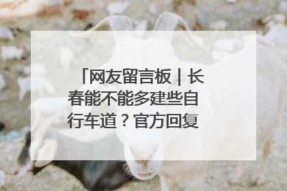 网友留言板｜长春能不能多建些自行车道？官方回复：在建了在建了