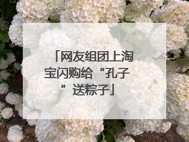 网友组团上淘宝闪购给“孔子”送粽子