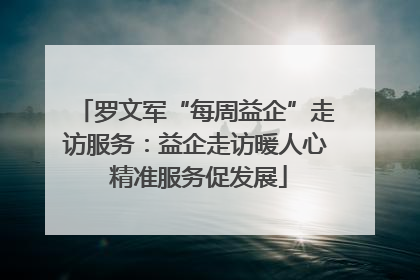 罗文军“每周益企”走访服务：益企走访暖人心 精准服务促发展
