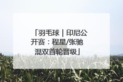 羽毛球｜印尼公开赛：程星/张驰混双首轮晋级