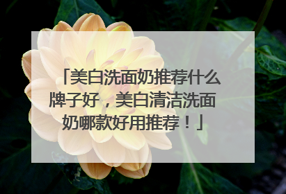 美白洗面奶推荐什么牌子好，美白清洁洗面奶哪款好用推荐！