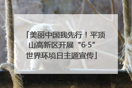 美丽中国我先行！平顶山高新区开展“6·5”世界环境日主题宣传