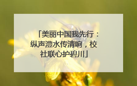 美丽中国我先行：纵声澧水传清响，校社联心护碧川