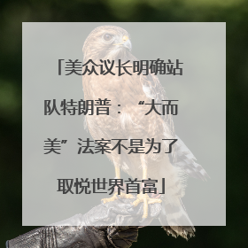 美众议长明确站队特朗普：“大而美”法案不是为了取悦世界首富