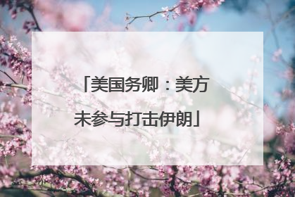 美国务卿：美方未参与打击伊朗