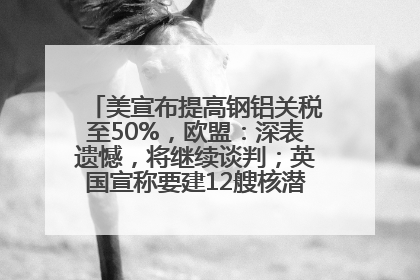 美宣布提高钢铝关税至50%，欧盟：深表遗憾，将继续谈判；英国宣称要建12艘核潜艇；马斯克最新发声：不想为美政府所做的一切承担责任丨早报