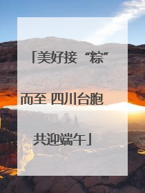 美好接“粽”而至 四川台胞共迎端午