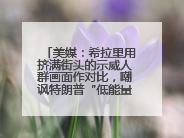 美媒：希拉里用挤满街头的示威人群画面作对比，嘲讽特朗普“低能量”阅兵式观众少