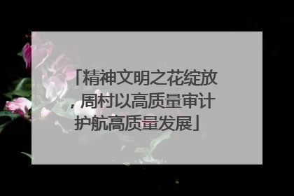 精神文明之花绽放，周村以高质量审计护航高质量发展