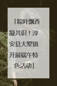 粽叶飘香凝共识！淳安县大墅镇开展端午特色活动