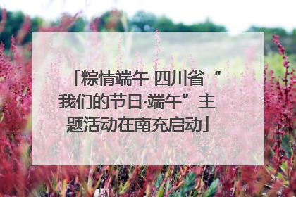 粽情端午 四川省“我们的节日·端午”主题活动在南充启动