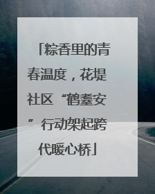 粽香里的青春温度，花堤社区“鹤耋安”行动架起跨代暖心桥