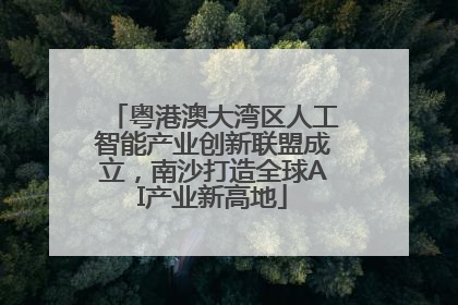 粤港澳大湾区人工智能产业创新联盟成立，南沙打造全球AI产业新高地