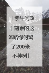 紫牛问政｜南京的这条路缘何留了200米不种树
