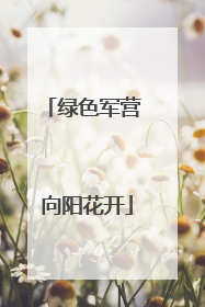 绿色军营 向阳花开