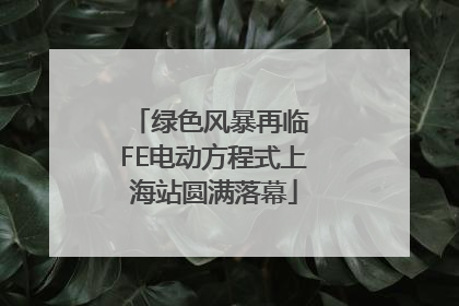绿色风暴再临 FE电动方程式上海站圆满落幕