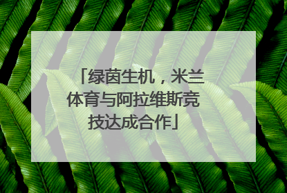 绿茵生机，米兰体育与阿拉维斯竞技达成合作