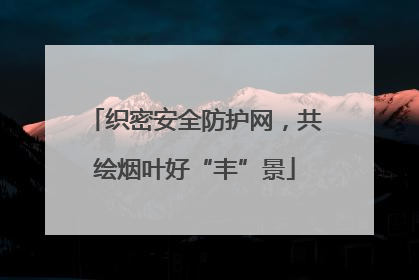 织密安全防护网，共绘烟叶好“丰”景