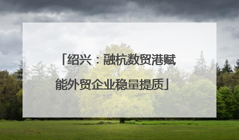 绍兴：融杭数贸港赋能外贸企业稳量提质
