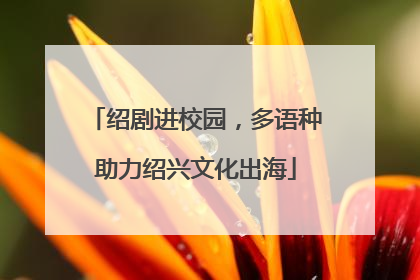 绍剧进校园，多语种助力绍兴文化出海