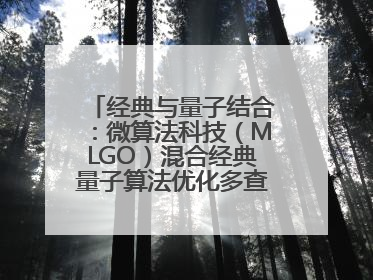 经典与量子结合：微算法科技（MLGO）混合经典量子算法优化多查询问题