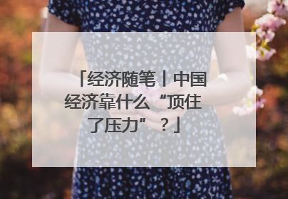 经济随笔丨中国经济靠什么“顶住了压力”？