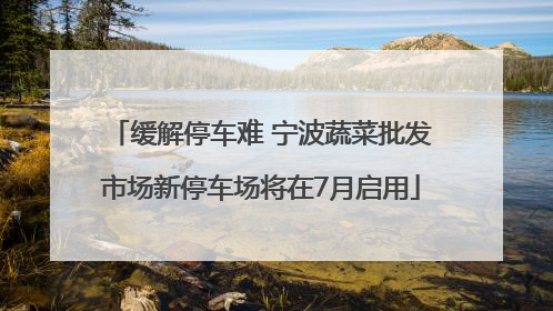 缓解停车难 宁波蔬菜批发市场新停车场将在7月启用