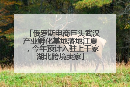 俄罗斯电商巨头武汉产业孵化基地落地江夏，今年预计入驻上千家湖北跨境卖家