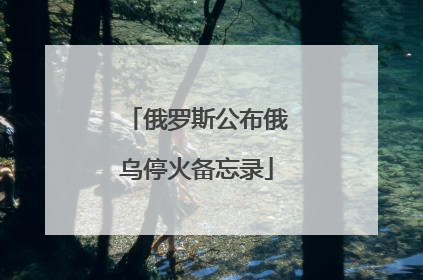 俄罗斯公布俄乌停火备忘录