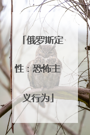 俄罗斯定性：恐怖主义行为