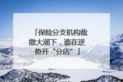 保险分支机构裁撤大潮下，谁在逆势开“分店”