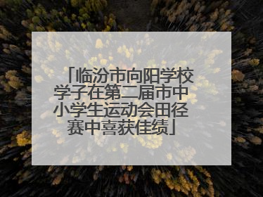 临汾市向阳学校学子在第二届市中小学生运动会田径赛中喜获佳绩